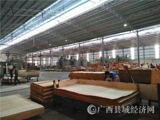 浦北县:第一季度经济指标增速全市第一