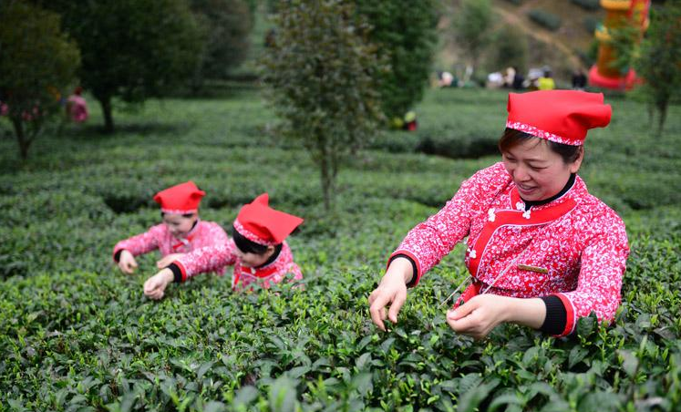 ��ƽ���彫��