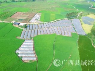 ƽ����������������������ƽ��ִ���ɫũҵʾ������������������̨��