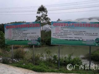 ���������򣺡���˾+����+���������+ũ�������ŷ�չ׳��弯�徭��