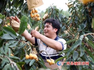 �����ڰ�������Ʈ���ũ����