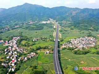 ���ٹ�·�̲ʾ�    �������չ����