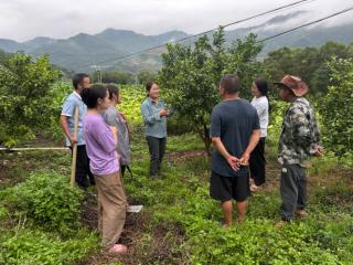 �������պ��������ӡ��·�Ƭ���˴��������վ������뷢��  ����ȫ������������