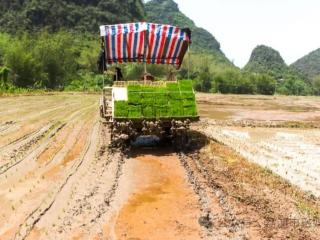 ����ȫ������������